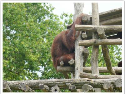 gallery/P_38_20230617_124205 .jpg