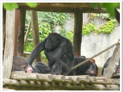 gallery/P_39_20230617_124425 .jpg