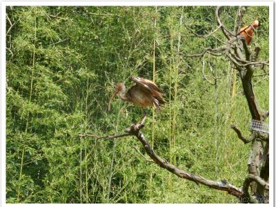 gallery/P_3_20230617_115020 .jpg