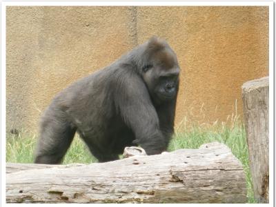 gallery/P_40_20230617_124724 .jpg