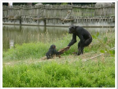 gallery/P_41_20230617_125523 .jpg