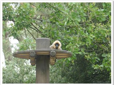 gallery/P_42_20230617_131059 .jpg