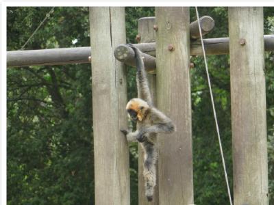 gallery/P_43_20230617_131318 .jpg