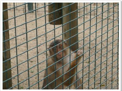 gallery/P_44_20230617_132403 .jpg