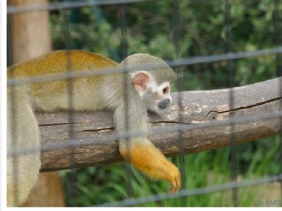 gallery/P_45_20230617_135937 .jpg