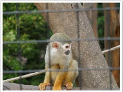 gallery/P_46_20230617_135959 .jpg