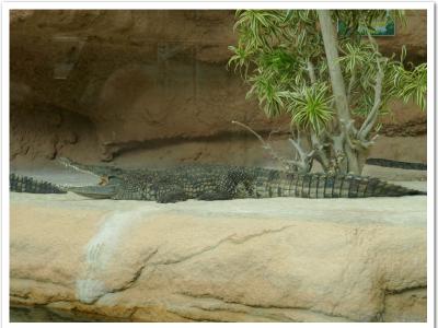 gallery/P_49_20230617_131354 .jpg