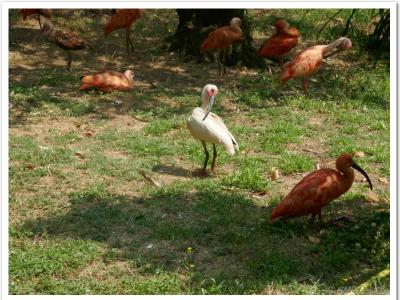 gallery/P_4_20230617_115034 .jpg