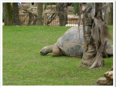 gallery/P_51_20230617_131922 .jpg