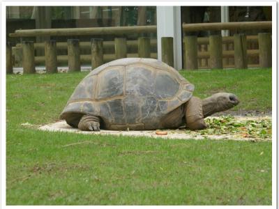 gallery/P_52_20230617_132459 .jpg