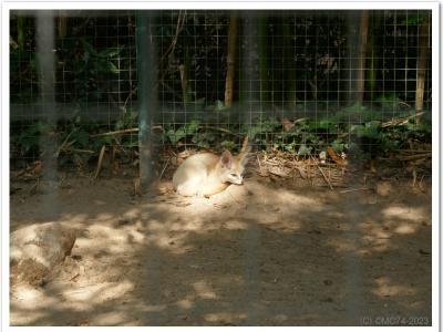 gallery/P_53_20230617_105556 .jpg