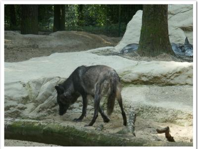 gallery/P_54_20230617_105407 .jpg