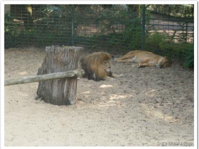 gallery/P_55_20230617_103628 .jpg