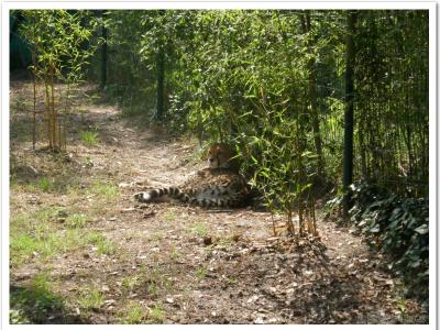 gallery/P_56_20230617_112736 .jpg