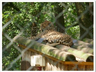 gallery/P_57_20230617_114220 .jpg