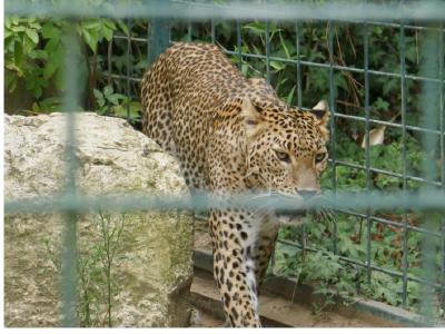 gallery/P_58_20230617_132858 .jpg