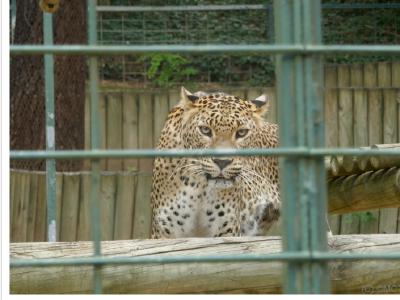 gallery/P_59_20230617_133132 .jpg