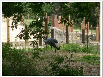 gallery/P_5_20230617_122204 .jpg