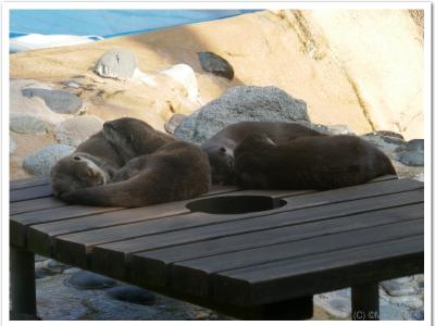 gallery/P_60_20230617_102756 .jpg