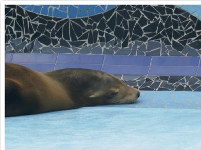 gallery/P_62_20230617_133358 .jpg