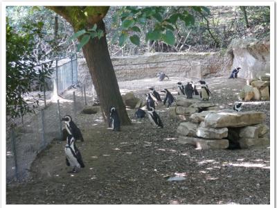 gallery/P_63_20230617_104103 .jpg