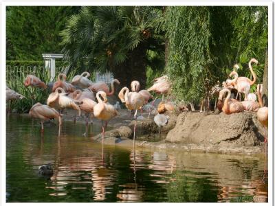 gallery/P_64_20230617_102517 .jpg