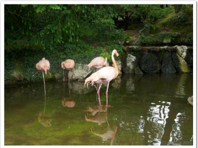 gallery/P_65_20230617_133540 .jpg