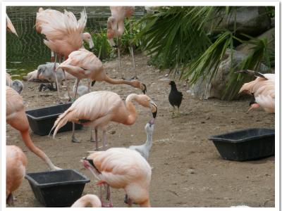 gallery/P_66_20230617_135713 .jpg