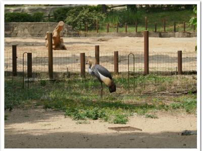 gallery/P_6_20230617_122327 .jpg