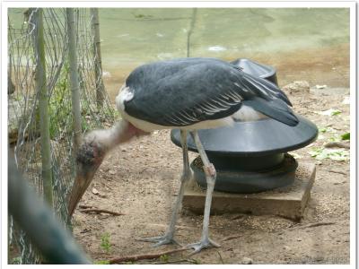 gallery/P_7_20230617_130943 .jpg