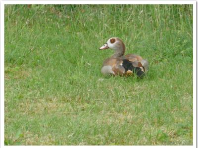 gallery/P_9_20230617_125710 .jpg