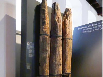 Musée de Strasbourg