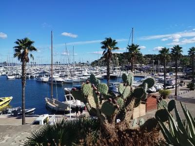 Le port de Cavalaire