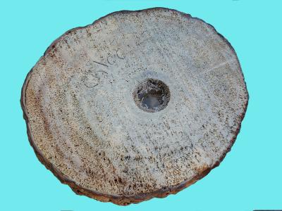 Coupe de stype (herbe)