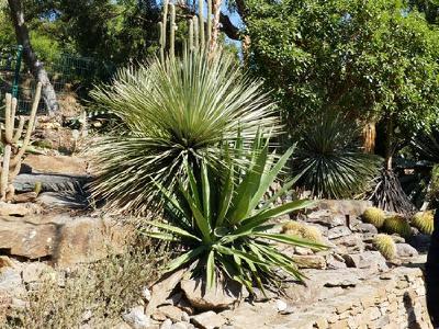 trois types d'adaptations